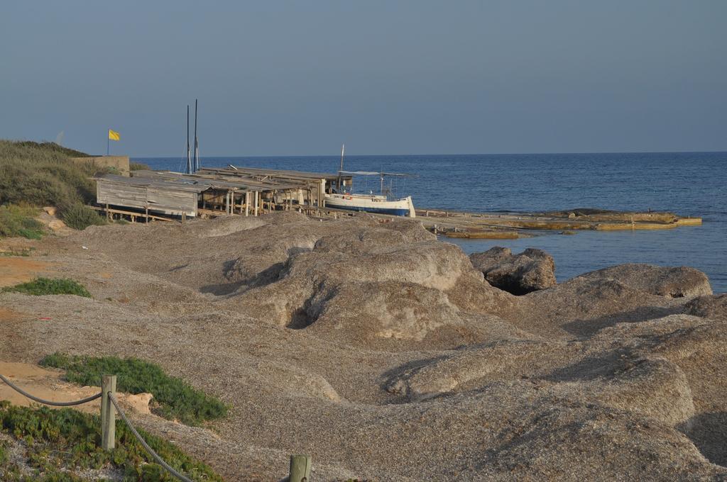 Viviendas Turisticas S'Estanyol ラ・サヴィーナ エクステリア 写真