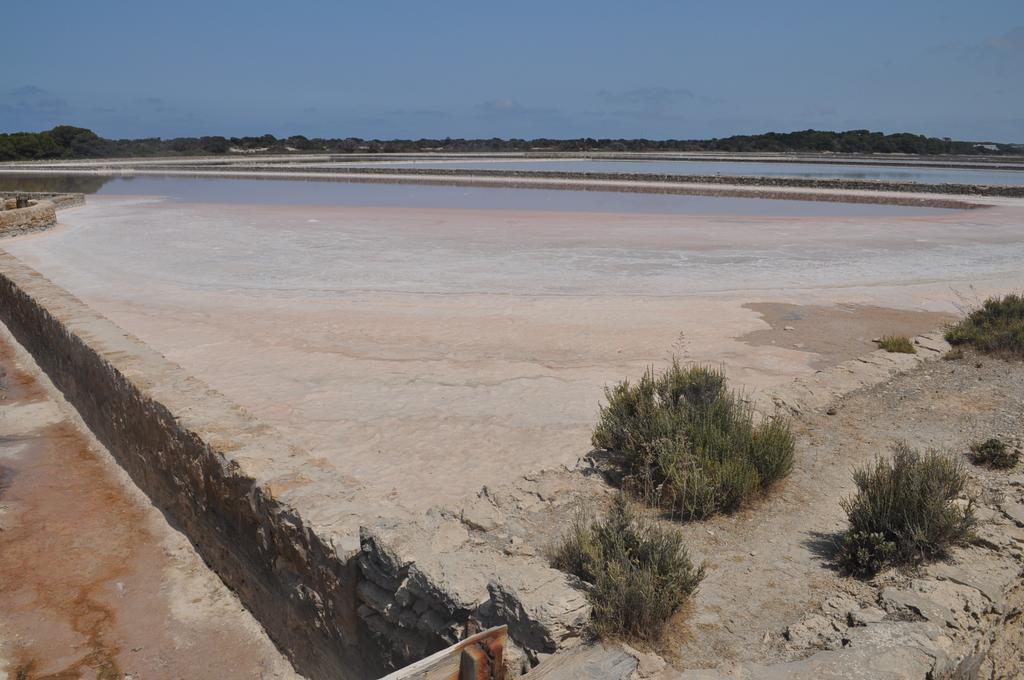 Viviendas Turisticas S'Estanyol ラ・サヴィーナ エクステリア 写真