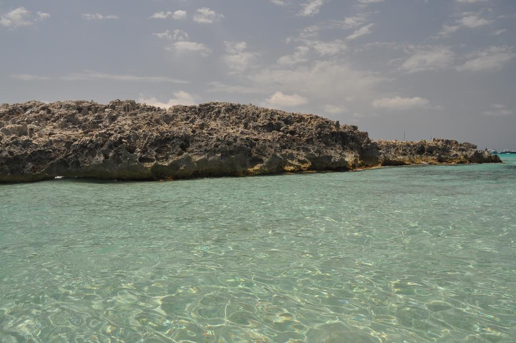 Viviendas Turisticas S'Estanyol ラ・サヴィーナ エクステリア 写真