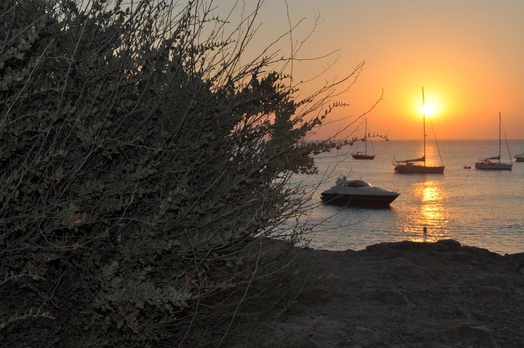 Viviendas Turisticas S'Estanyol ラ・サヴィーナ エクステリア 写真