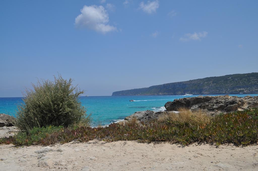 Viviendas Turisticas S'Estanyol ラ・サヴィーナ エクステリア 写真